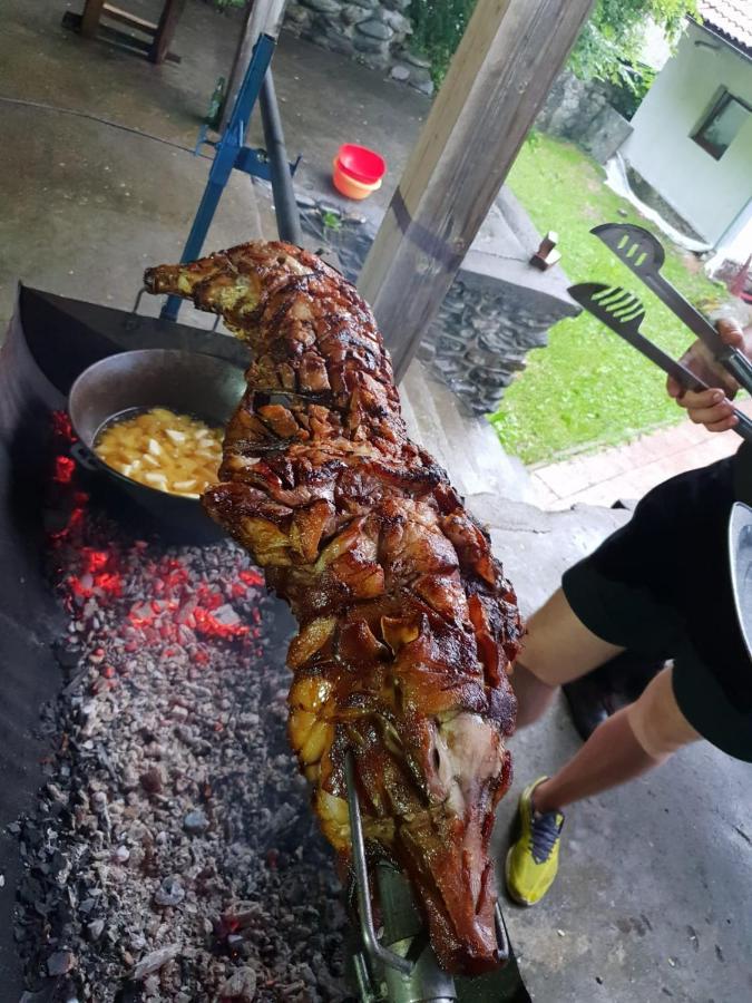 Vila Luca'S Cartisoara Ngoại thất bức ảnh